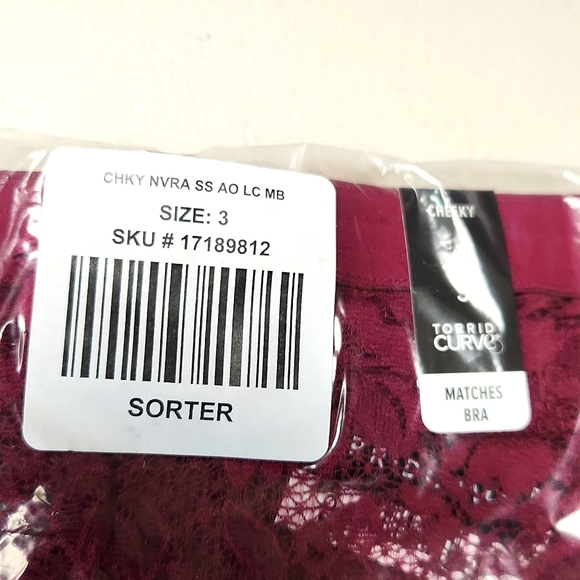 ❤️NWT VINTAGE TORRID VALENTINES DAY PANTY FUCHSIA MID-RISE CHEEKY - PLUS SIZE - Picture 9 of 10